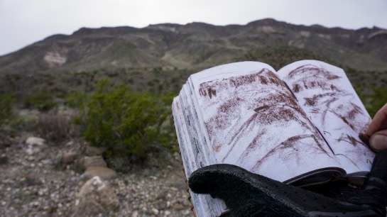 Sketching during a brief break in Big Bend, never even got off my riding glove.